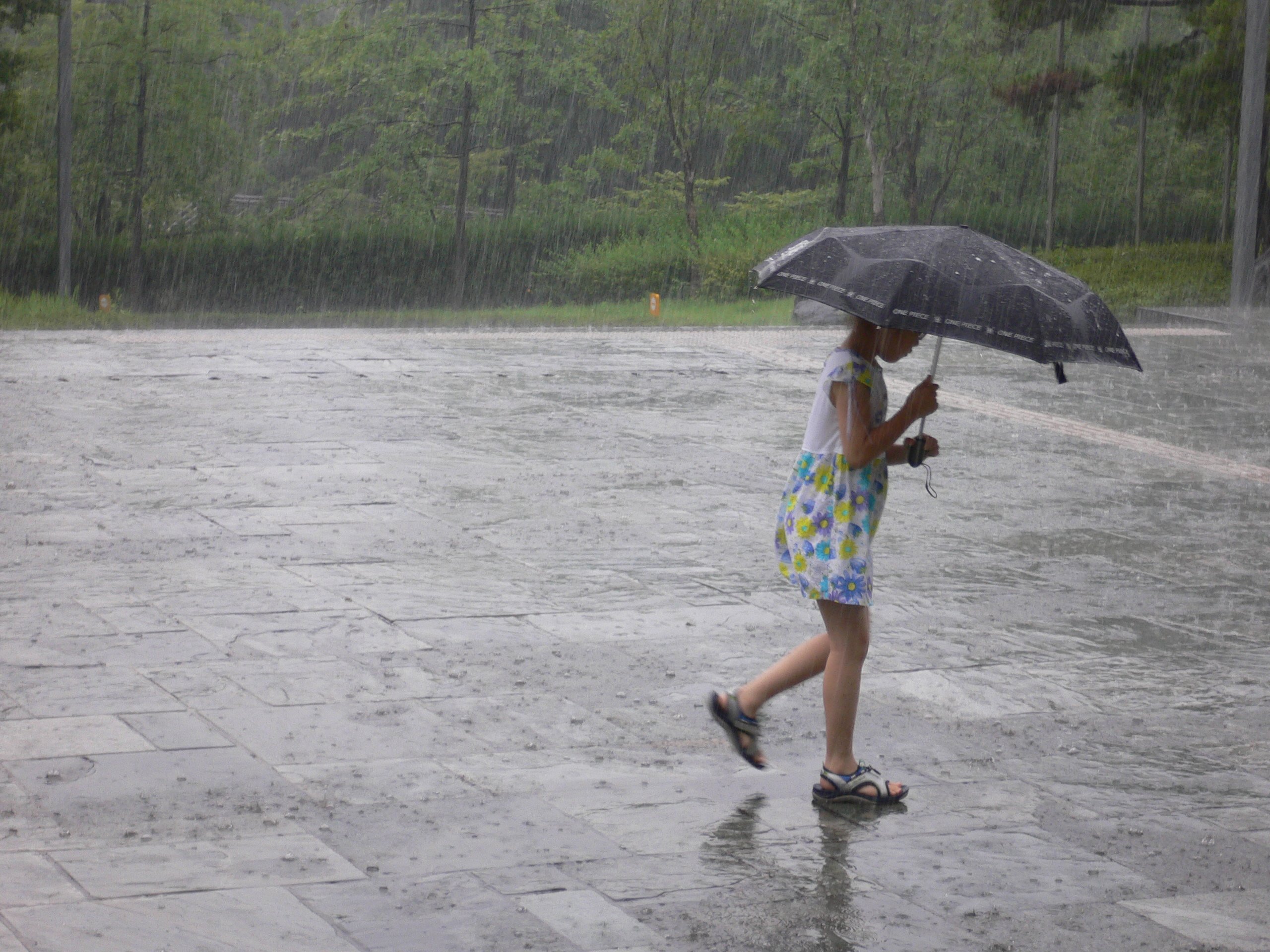 Como conocer hombres lluvia 491996